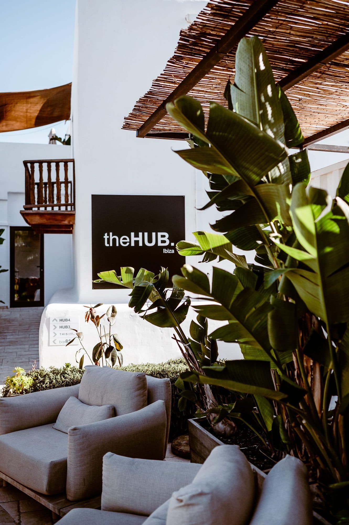 Tropical garden workspace at theHUB Ibiza