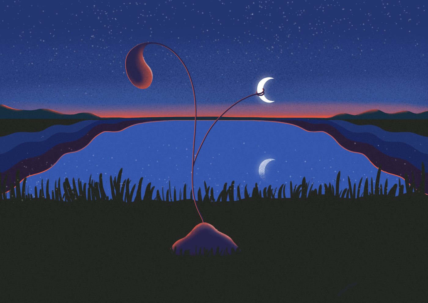 new moon in taurus, ceyda tavukcuklar