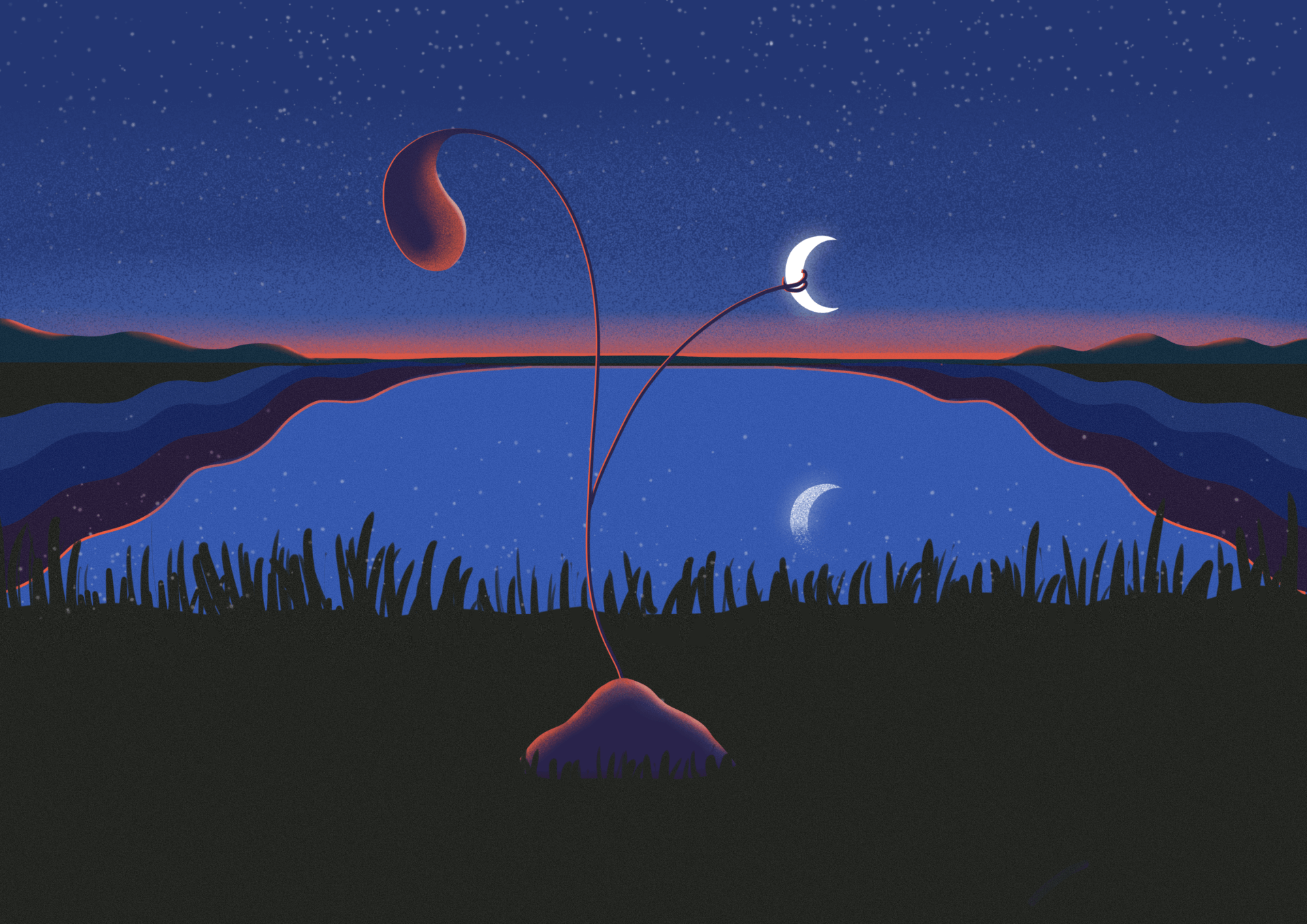 new moon in taurus, ceyda tavukcuklar