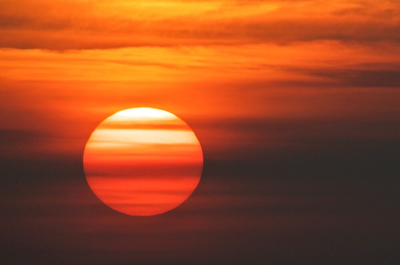 Dana Stechow in 5 Questions